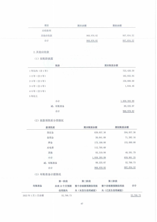 11、匯杰設(shè)計(jì)-2022年度審計(jì)報(bào)告_47.jpg